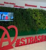 stras-1186x593